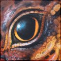 Augenblick einer spanischen Mauereidechse Acryl auf Leinwand;
30 x 30 cm